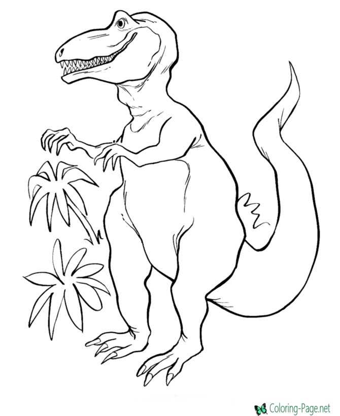 Dinosaur Coloring Page for Kids 90