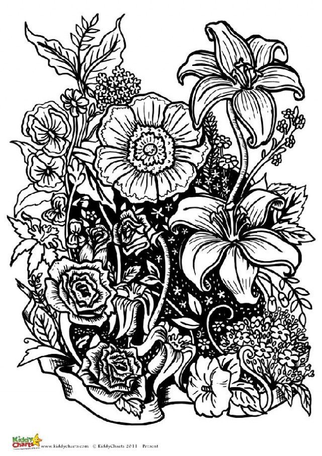 160+ AI Generate Coloring Pages You Must Try for Ultimate Creativity 71