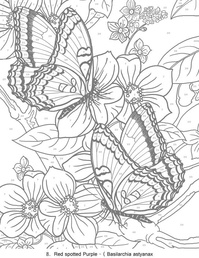 160+ AI Generate Coloring Pages You Must Try for Ultimate Creativity 94