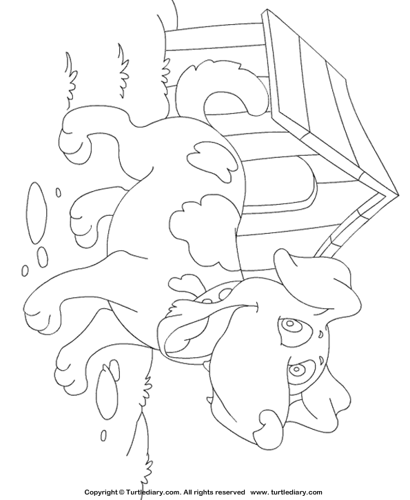 69 Puppy Dog Coloring Pages Free Printable Part 5