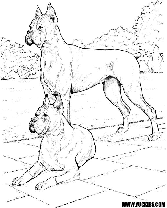 69 Puppy Dog Coloring Pages Free Printable Part 64