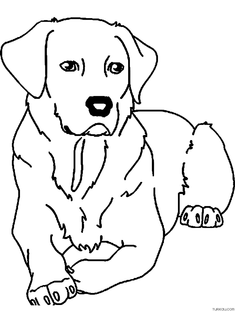 69 Puppy Dog Coloring Pages Free Printable Part 76