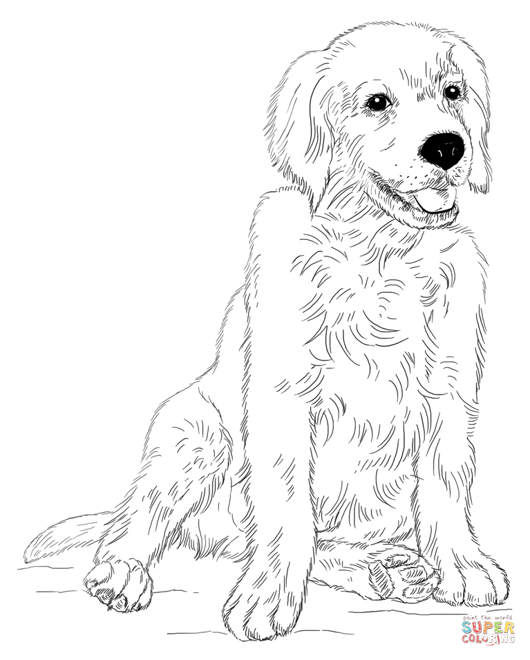 69 Puppy Dog Coloring Pages Free Printable Part 79