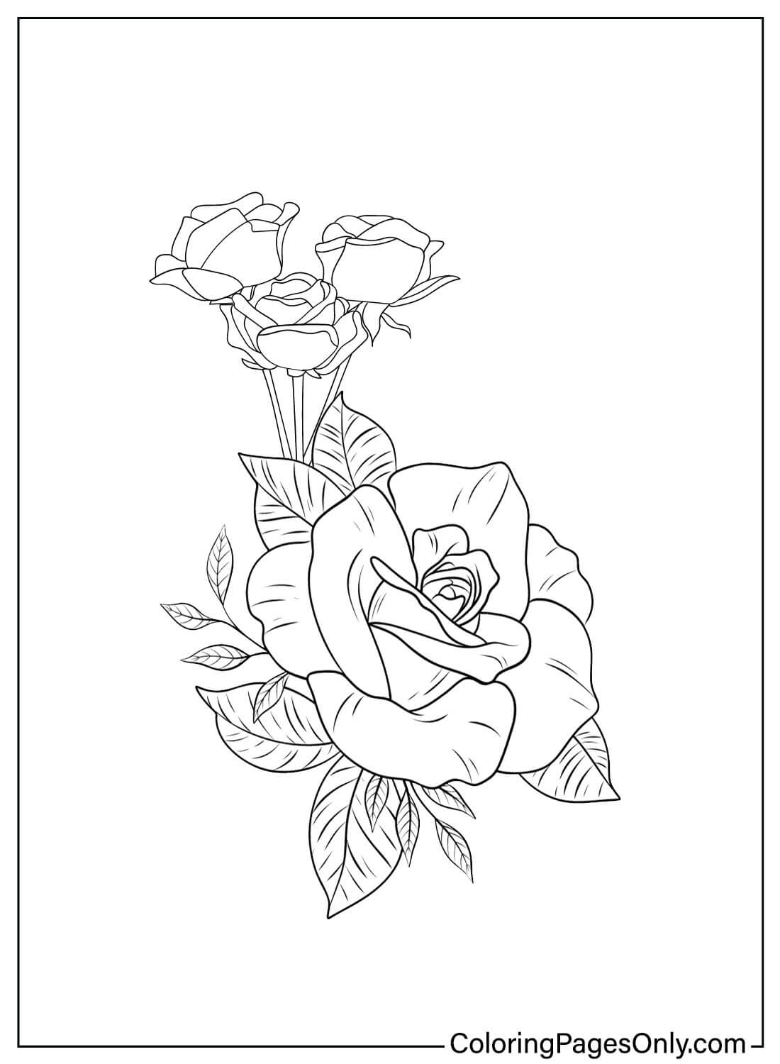 80+ Adult Rose Coloring Pages Printable 114