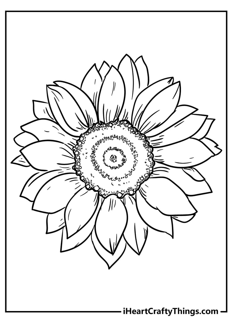 80+ Adult Rose Coloring Pages Printable 122