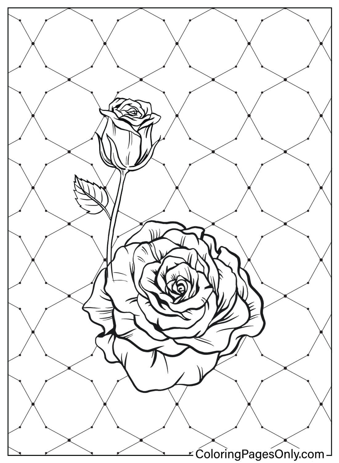 80+ Adult Rose Coloring Pages Printable 135