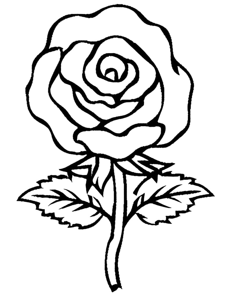 80+ Adult Rose Coloring Pages Printable 140