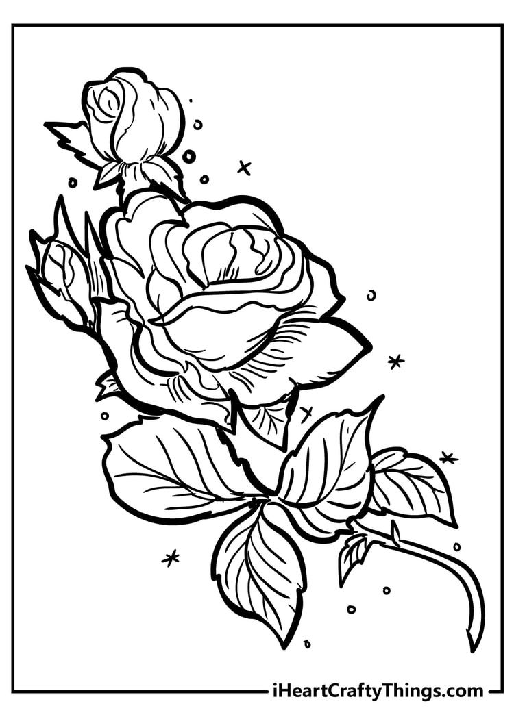 80+ Adult Rose Coloring Pages Printable 15