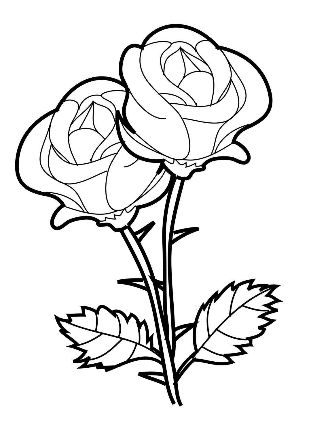 80+ Adult Rose Coloring Pages Printable 157