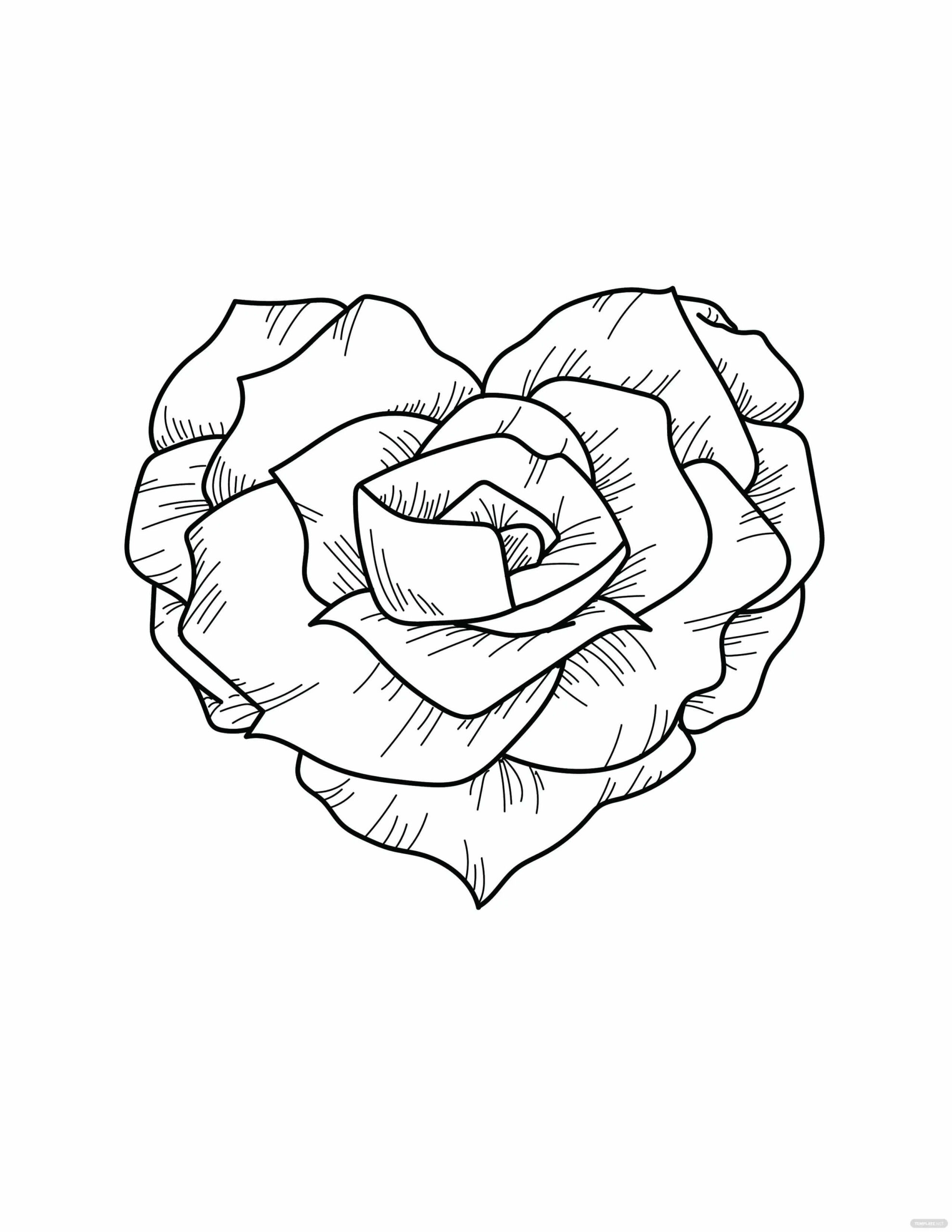 80+ Adult Rose Coloring Pages Printable 167