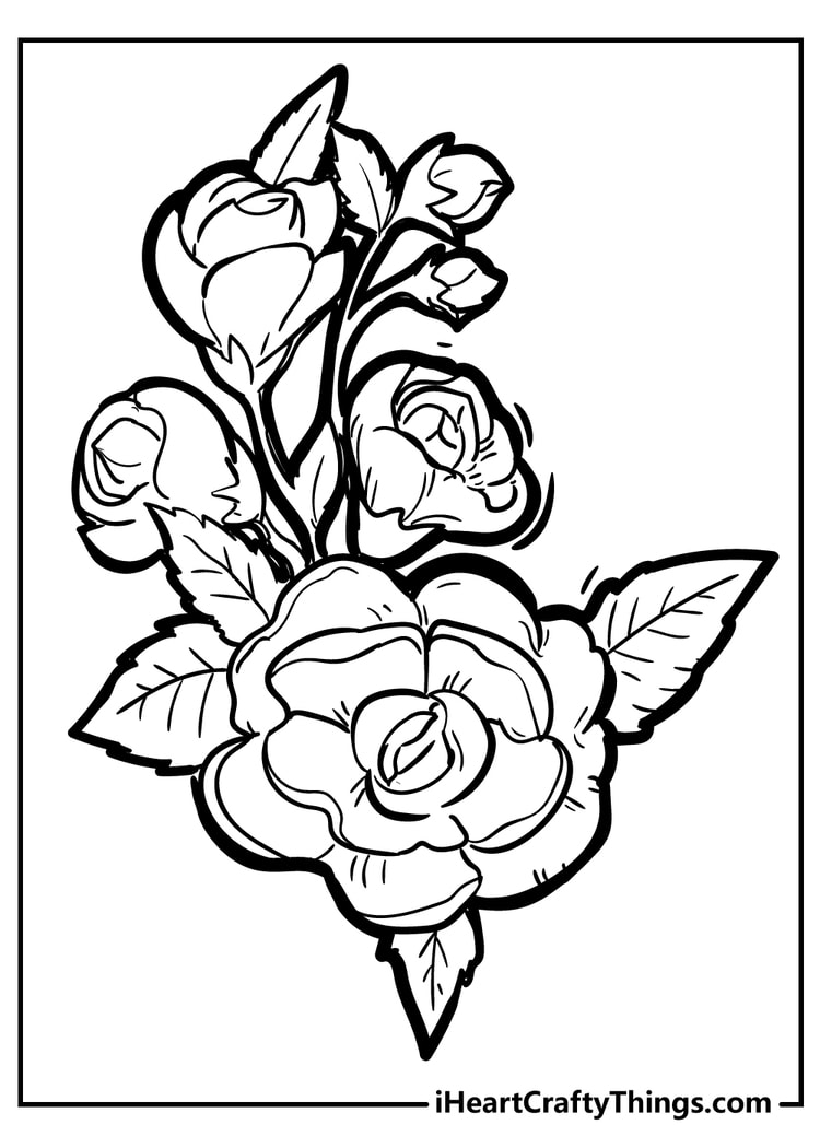 80+ Adult Rose Coloring Pages Printable 176