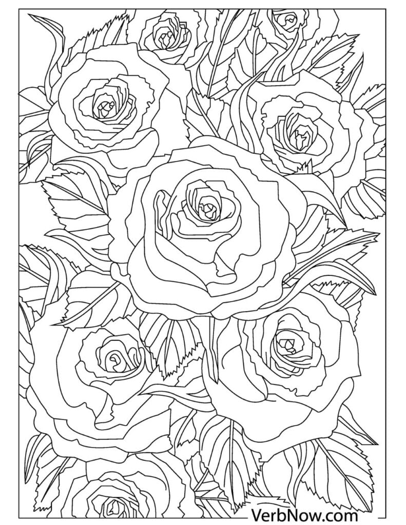 80+ Adult Rose Coloring Pages Printable 177