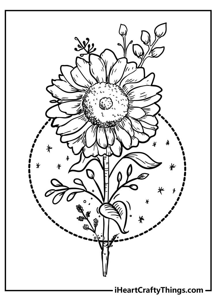 80+ Adult Rose Coloring Pages Printable 180