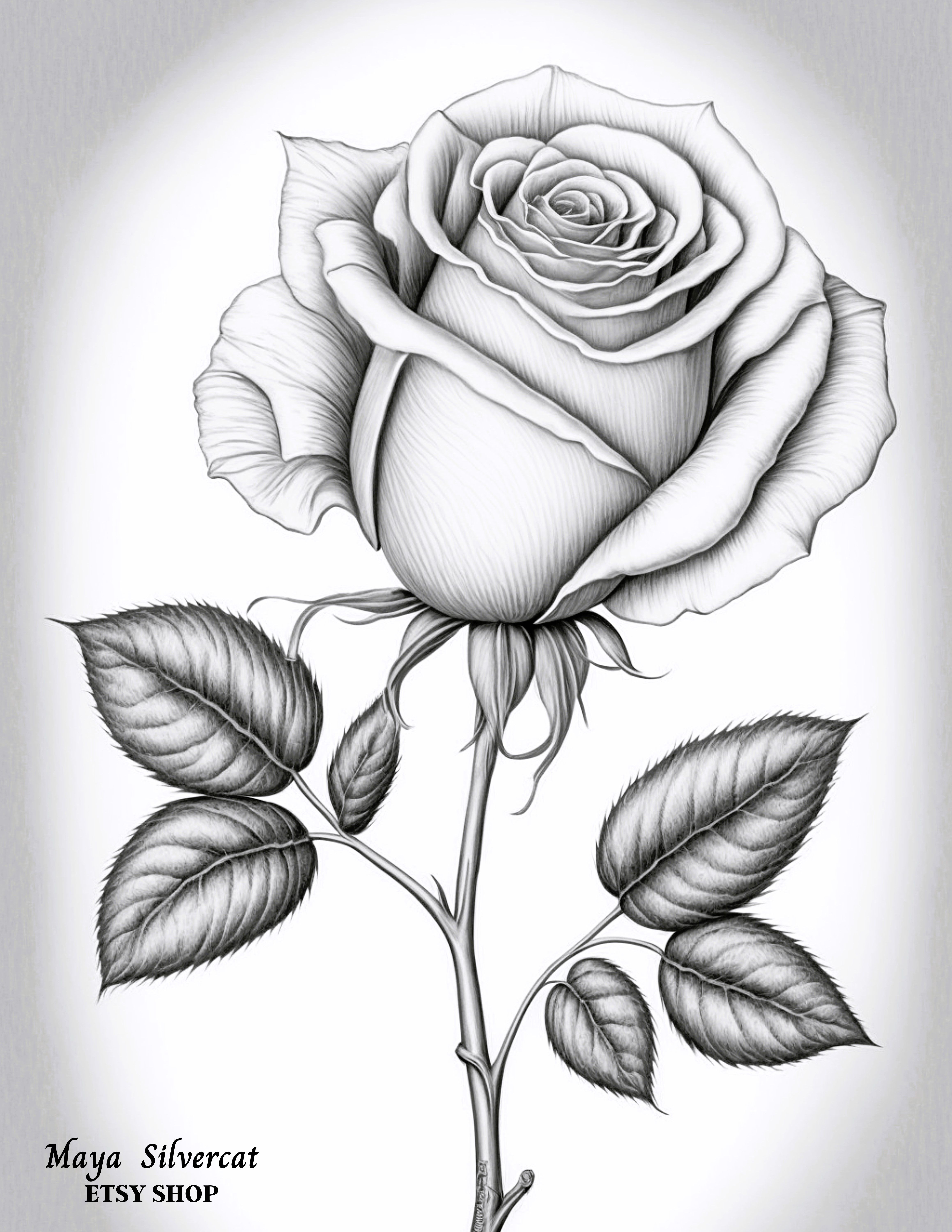 80+ Adult Rose Coloring Pages Printable 185