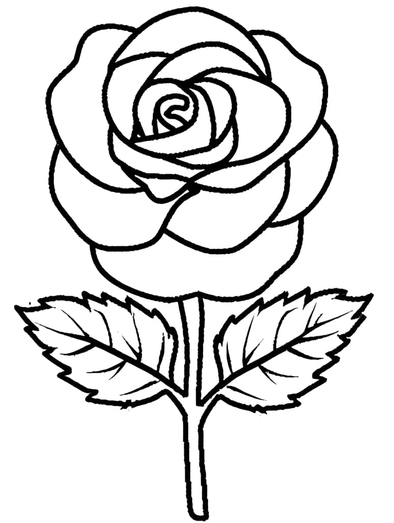 80+ Adult Rose Coloring Pages Printable 187