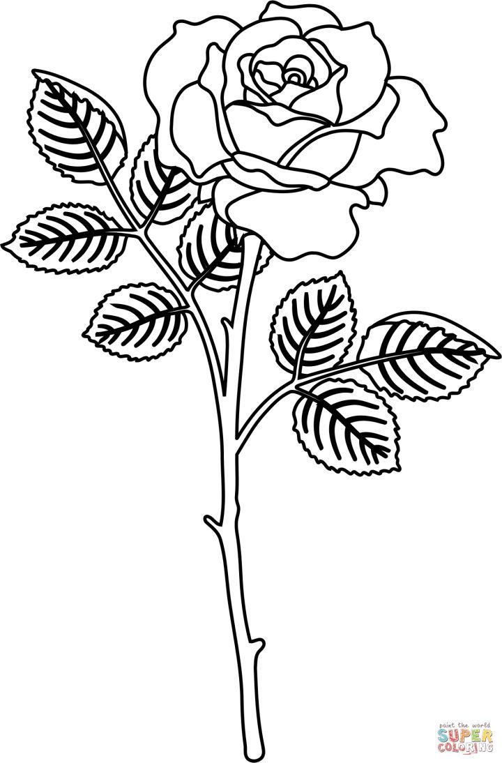 80+ Adult Rose Coloring Pages Printable 19