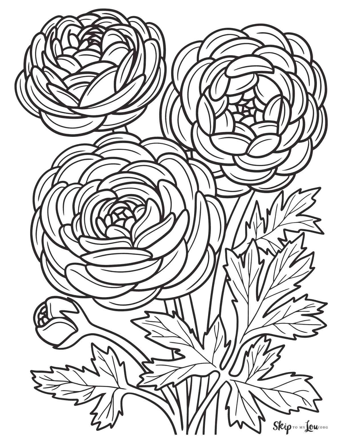 80+ Adult Rose Coloring Pages Printable 20