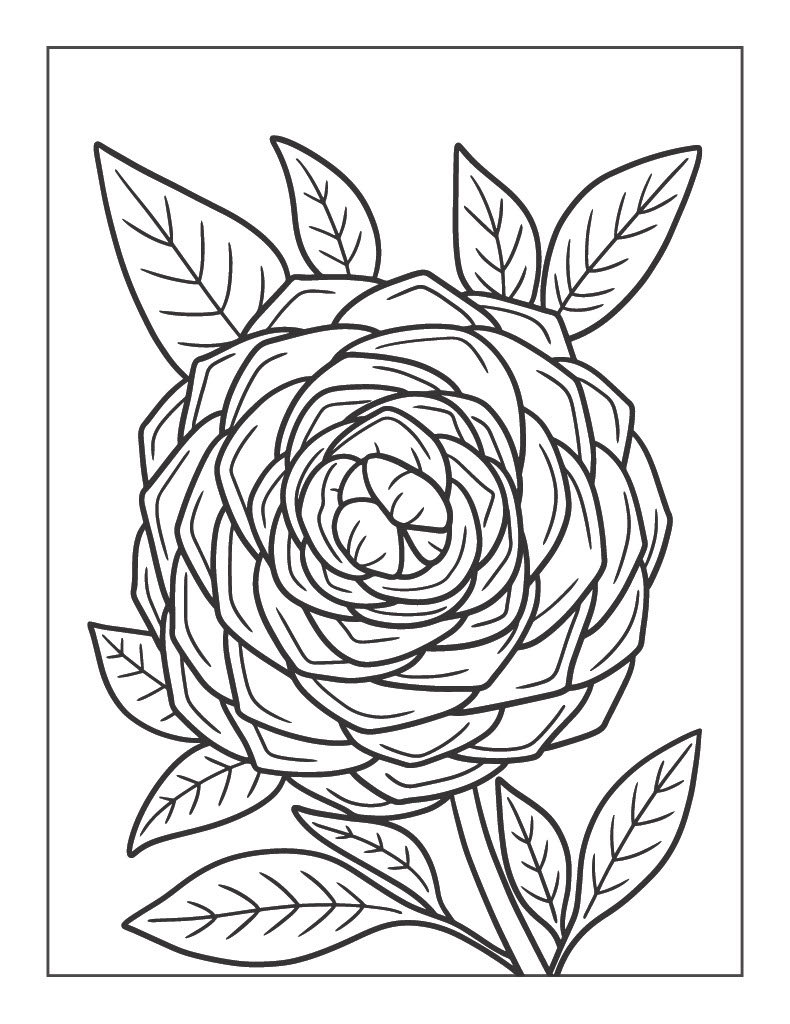 80+ Adult Rose Coloring Pages Printable 200