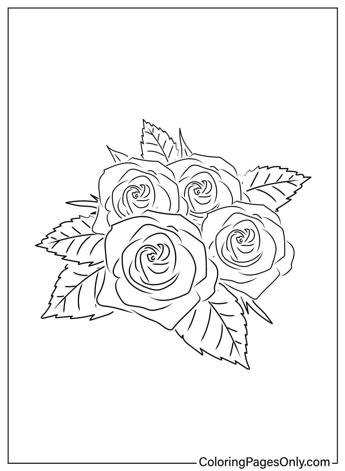 80+ Adult Rose Coloring Pages Printable 21