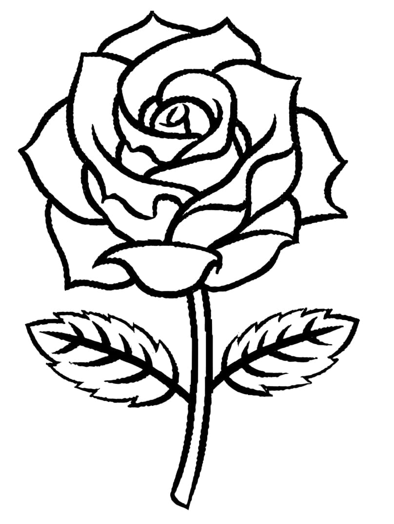 80+ Adult Rose Coloring Pages Printable 22