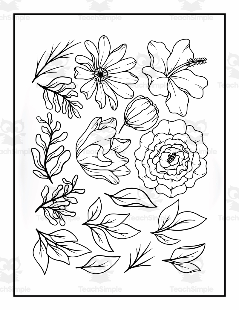 80+ Adult Rose Coloring Pages Printable 24