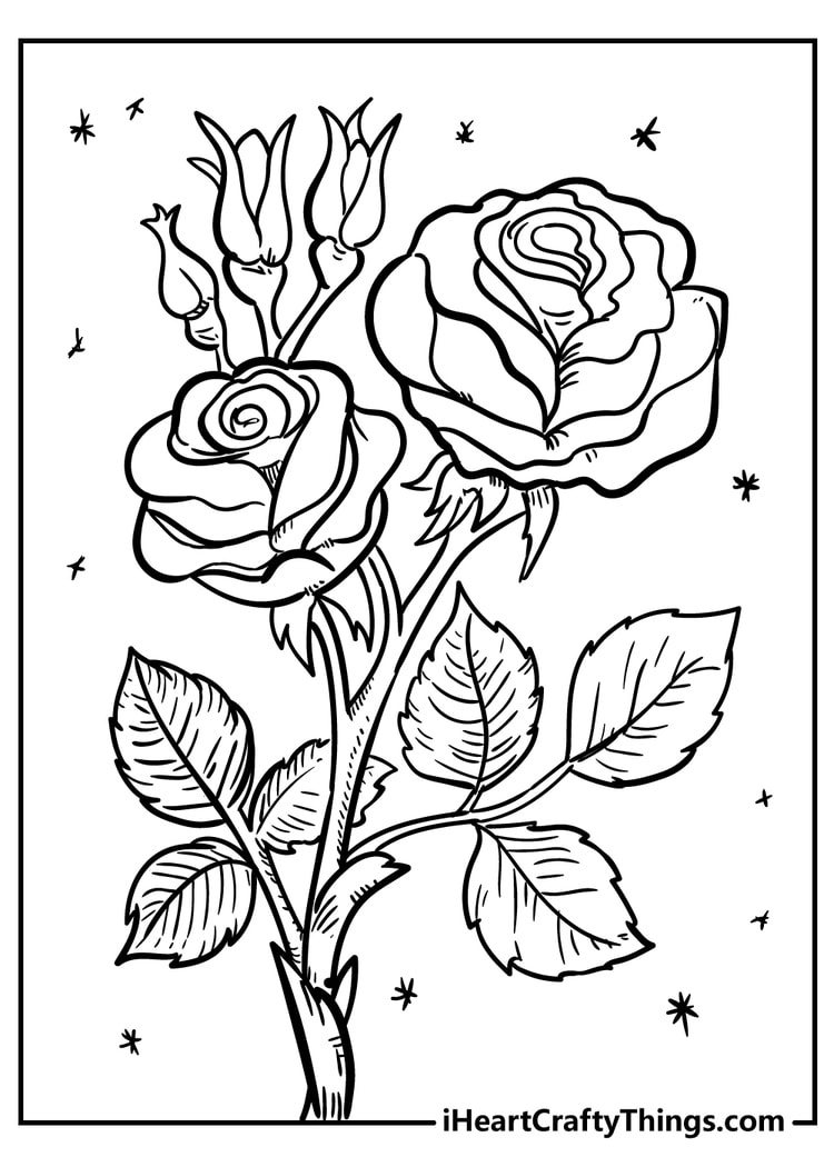 80+ Adult Rose Coloring Pages Printable 30