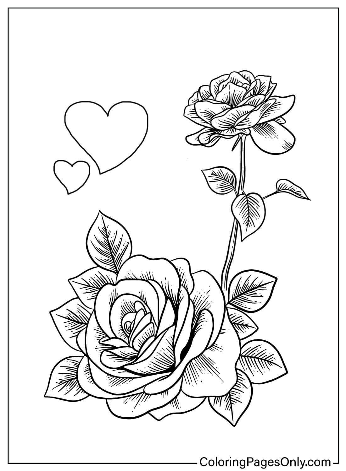 80+ Adult Rose Coloring Pages Printable 40