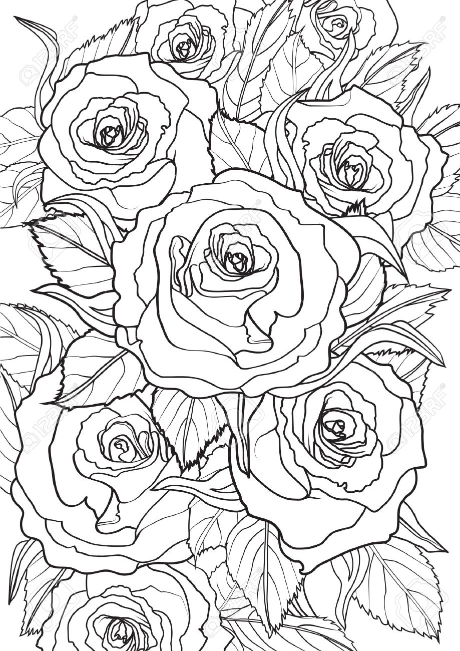 80+ Adult Rose Coloring Pages Printable 43