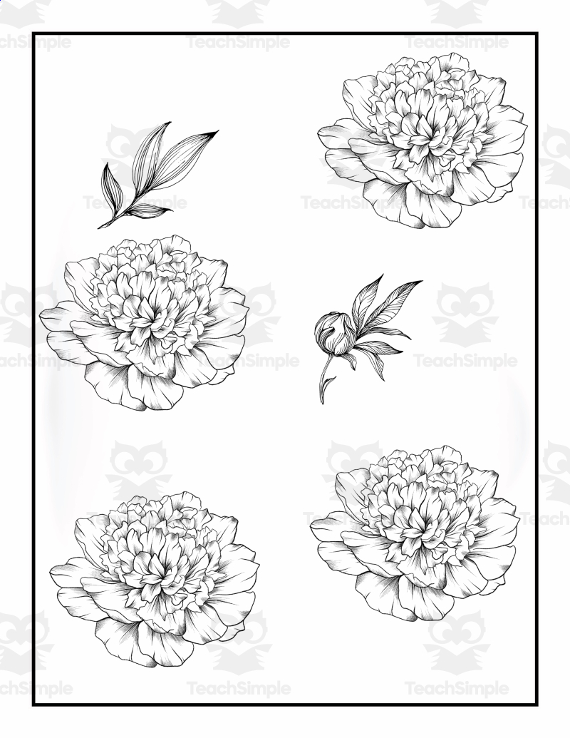 80+ Adult Rose Coloring Pages Printable 49