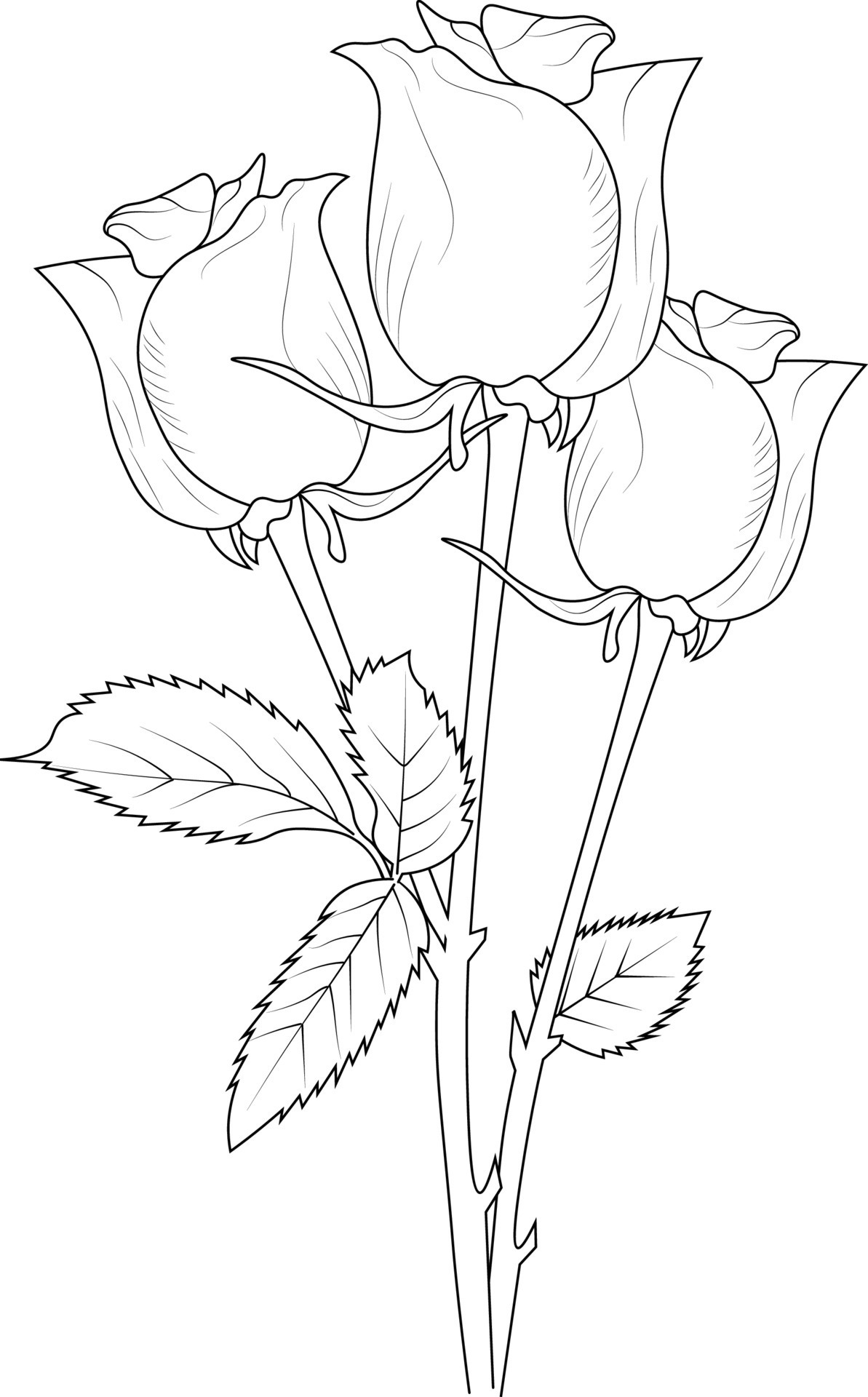 80+ Adult Rose Coloring Pages Printable 58