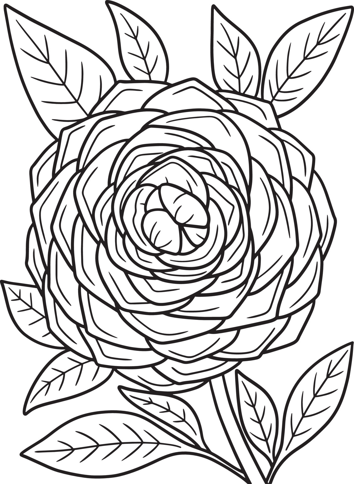 80+ Adult Rose Coloring Pages Printable 8