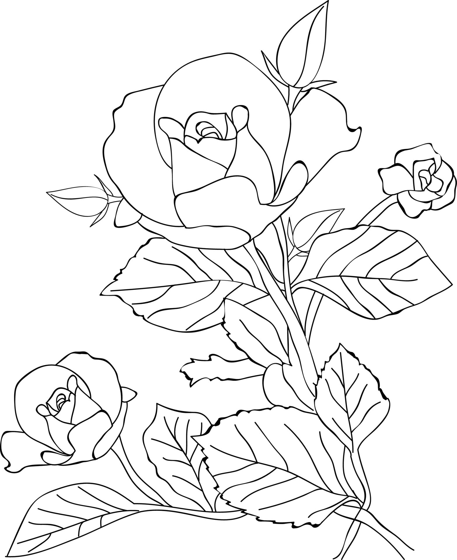 80+ Adult Rose Coloring Pages Printable 81