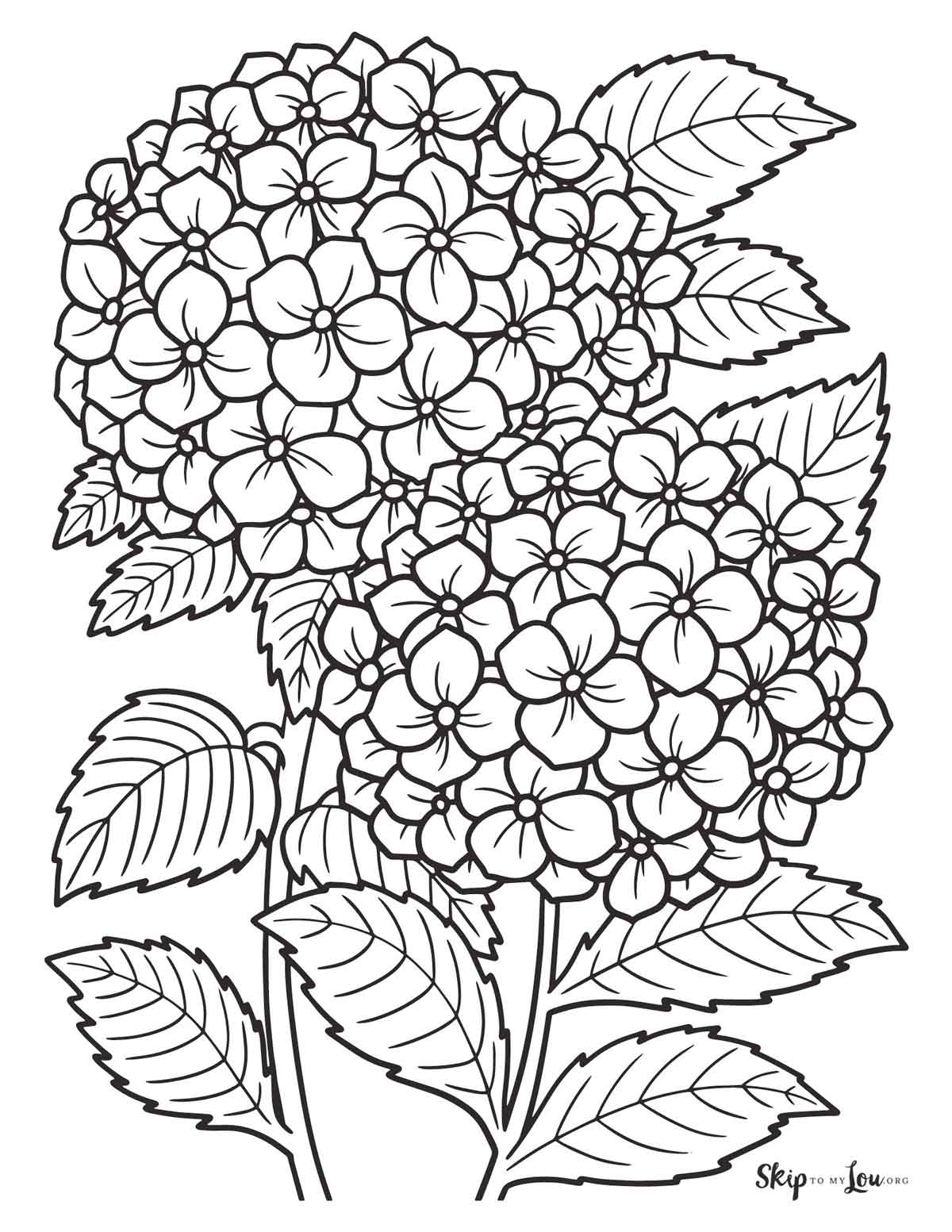 80+ Adult Rose Coloring Pages Printable 93