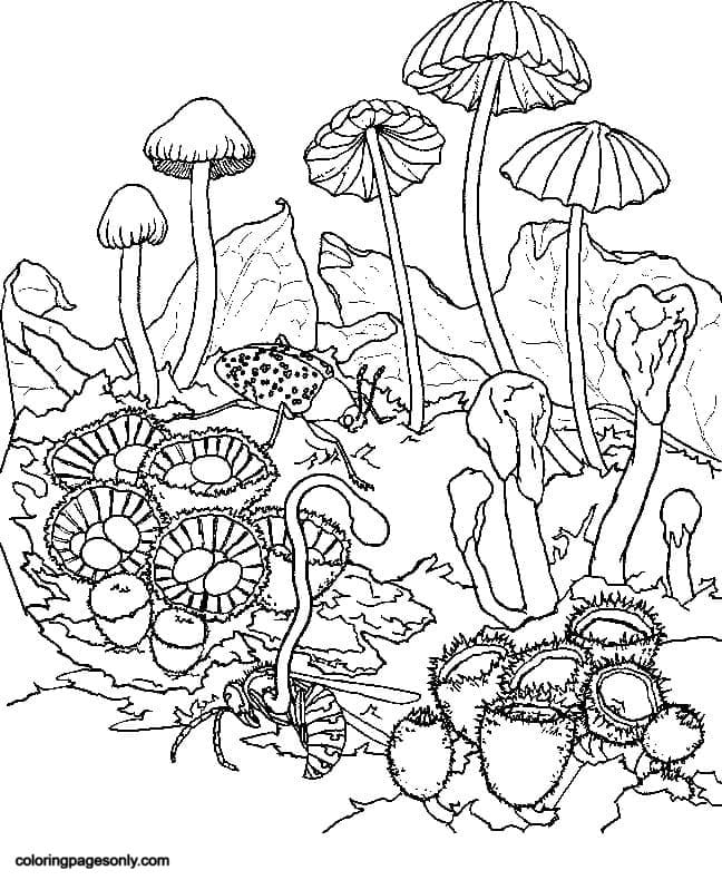 Get Trippy with 120+ Stoner Mushroom Coloring Pages 11