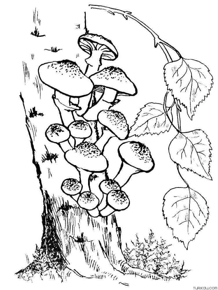 Get Trippy with 120+ Stoner Mushroom Coloring Pages 30