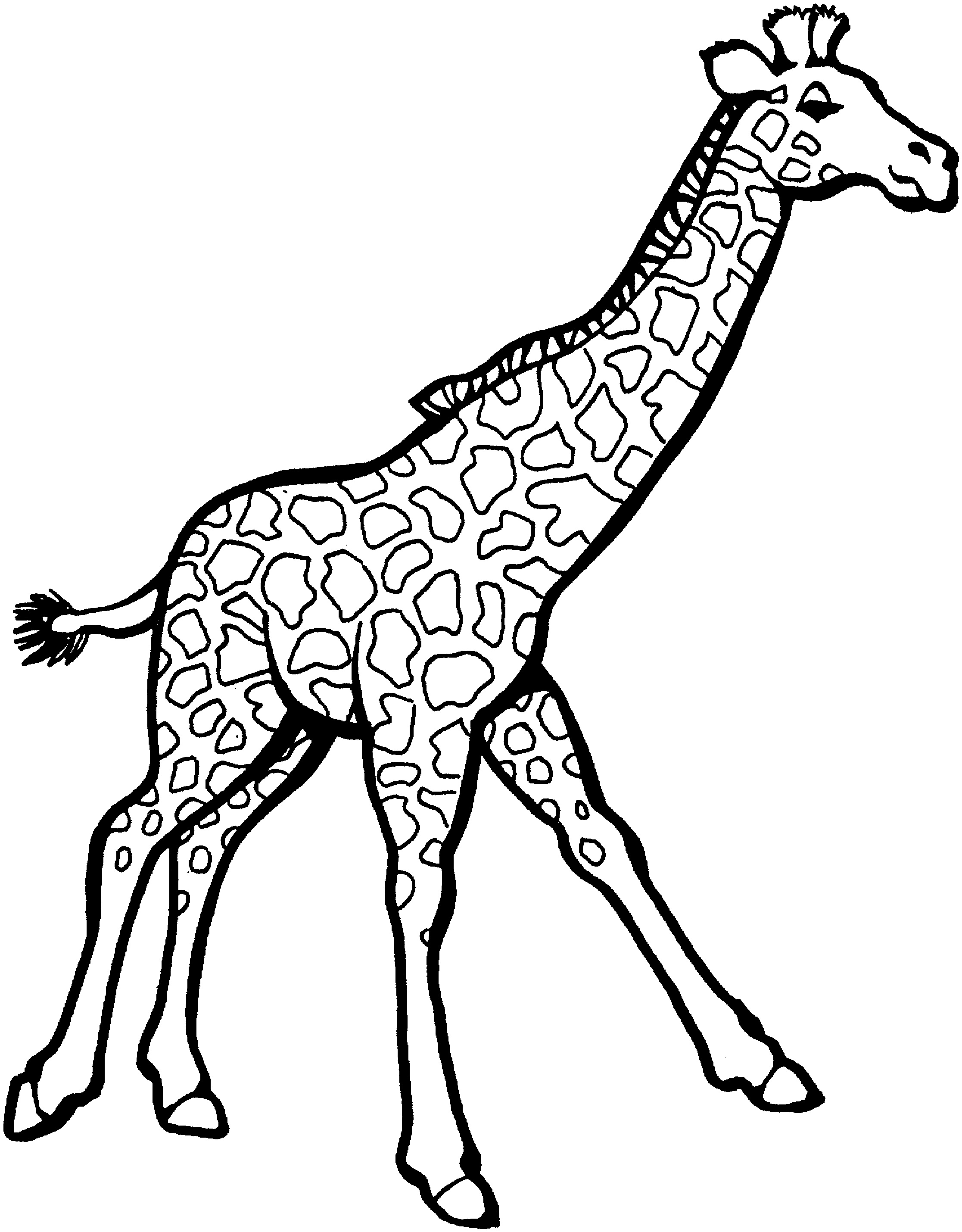 Giraffe Coloring Pages Free Printable 1