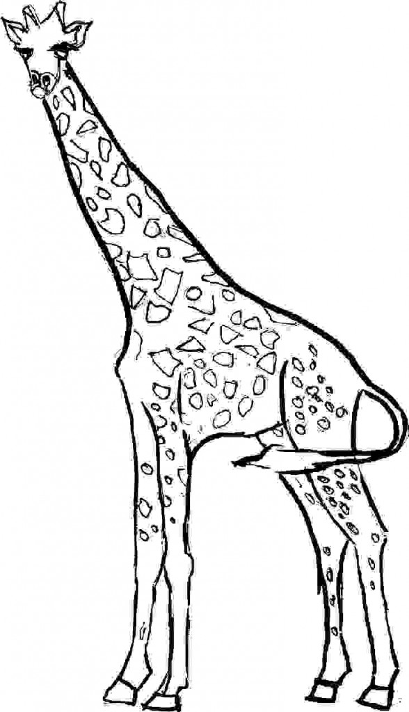 Giraffe Coloring Pages Free Printable 109