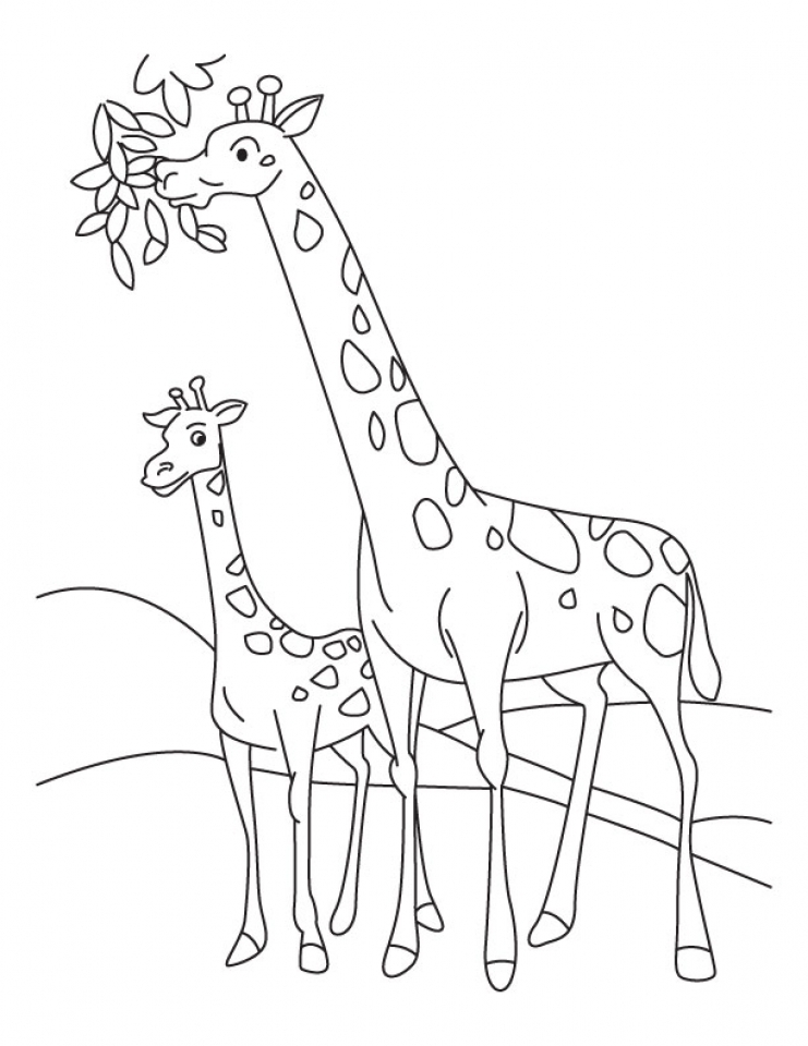 Giraffe Coloring Pages Free Printable 11