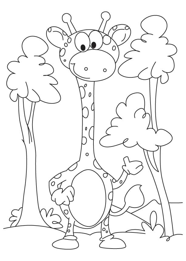 Giraffe Coloring Pages Free Printable 110