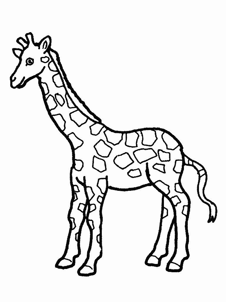 Giraffe Coloring Pages Free Printable 112