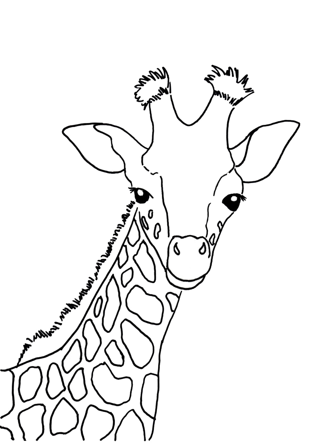 Giraffe Coloring Pages Free Printable 123