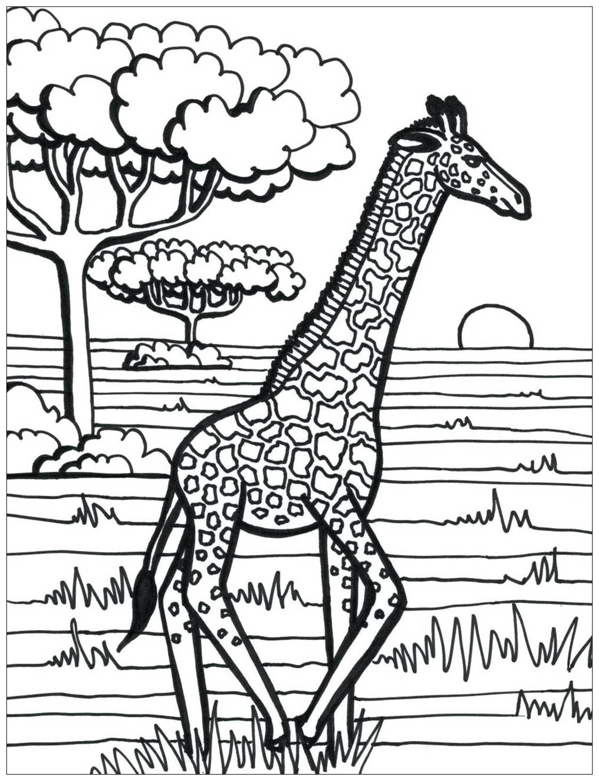 Giraffe Coloring Pages Free Printable 15