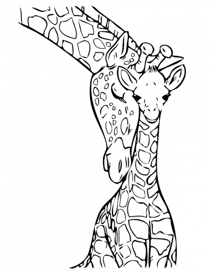 Giraffe Coloring Pages Free Printable 150