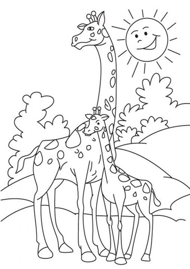 Giraffe Coloring Pages Free Printable 155