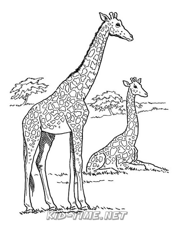 Giraffe Coloring Pages Free Printable 158