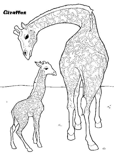 Giraffe Coloring Pages Free Printable 159