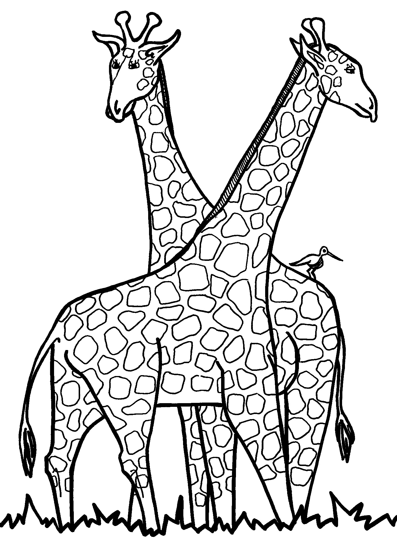 Giraffe Coloring Pages Free Printable 17