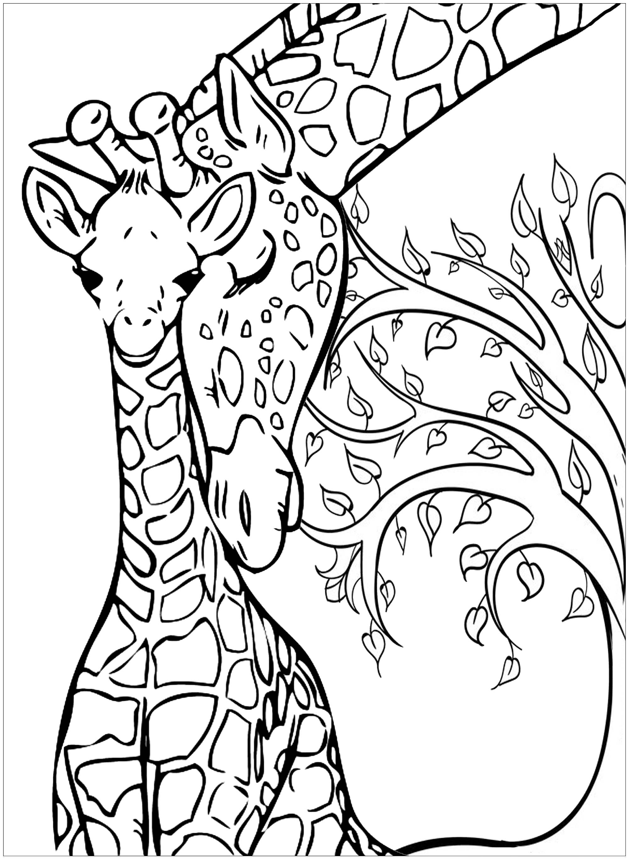 Giraffe Coloring Pages Free Printable 170