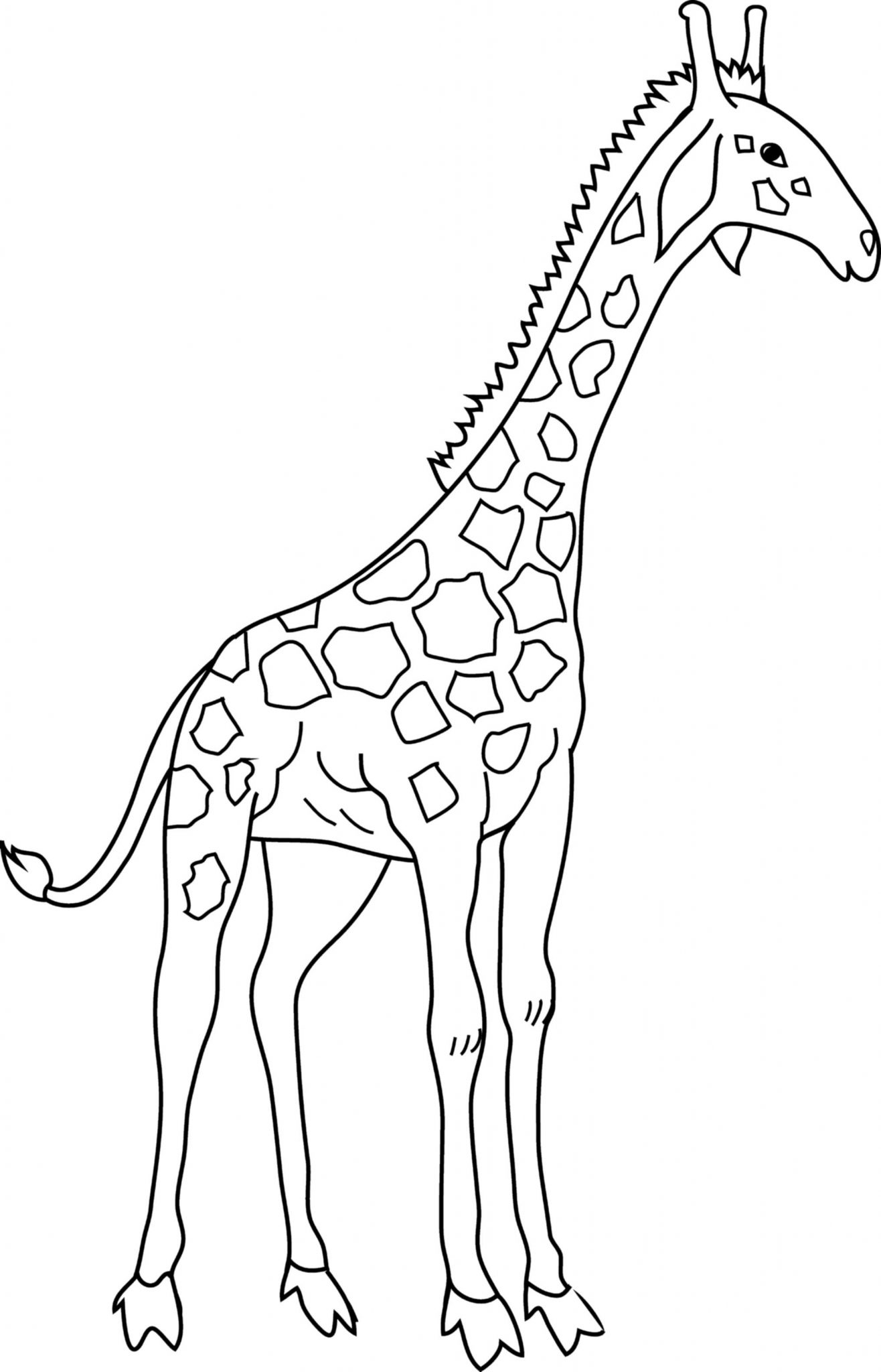 Giraffe Coloring Pages Free Printable 20