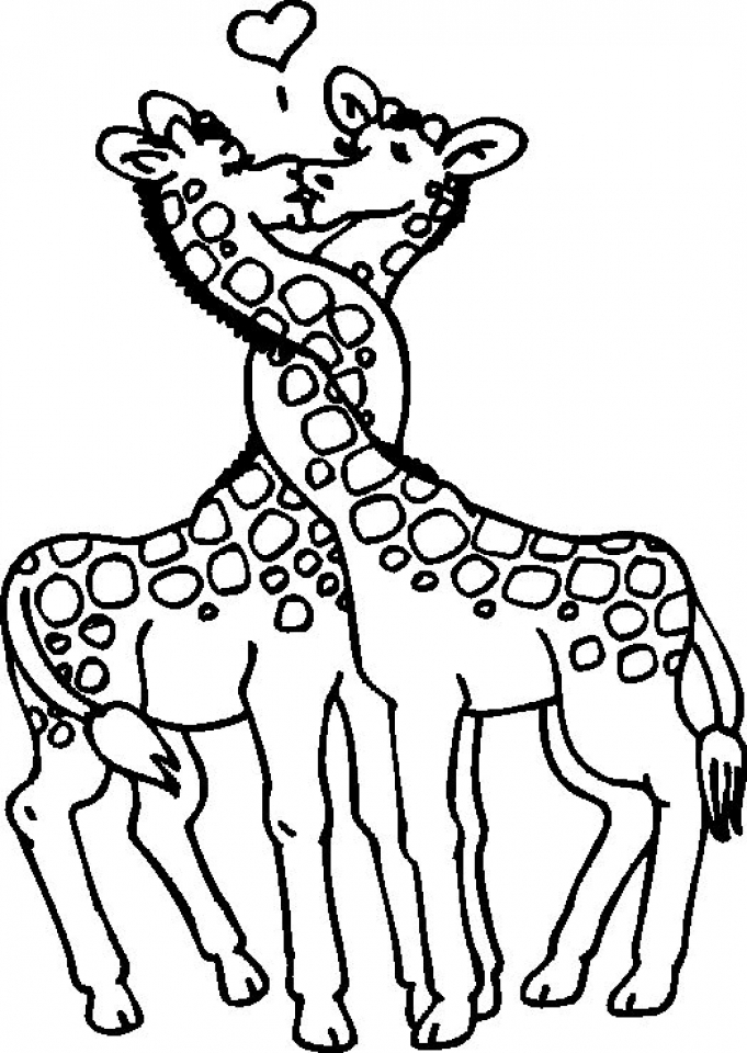 Giraffe Coloring Pages Free Printable 24